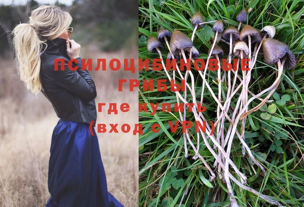 MDMA Premium VHQ Вяземский