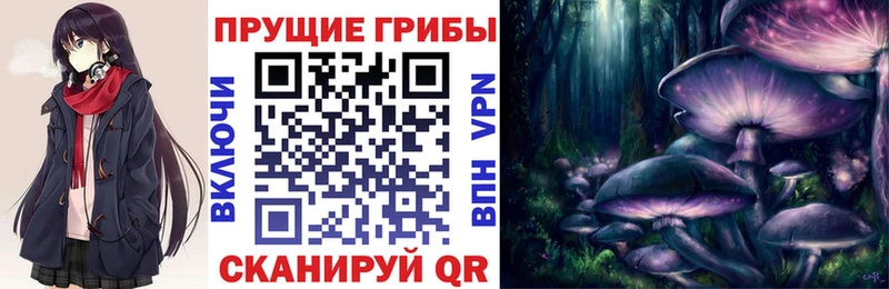 Псилоцибиновые грибы MAGIC MUSHROOMS  ссылка на мегу ссылка  Звенигород 
